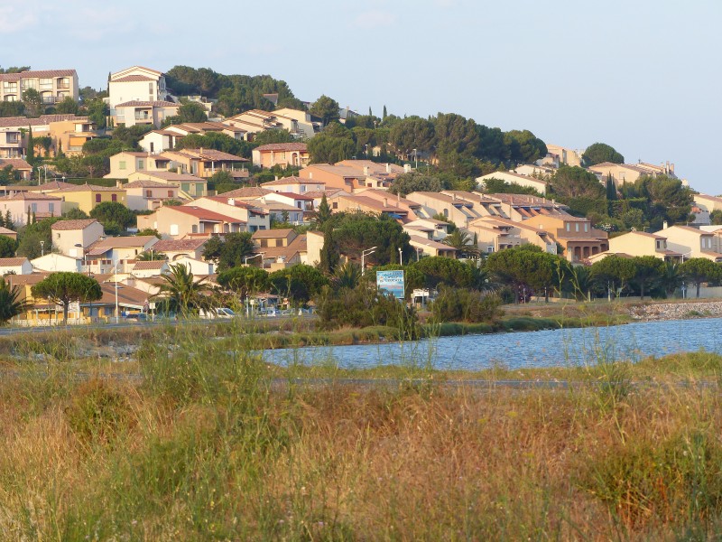 P1000365.JPG