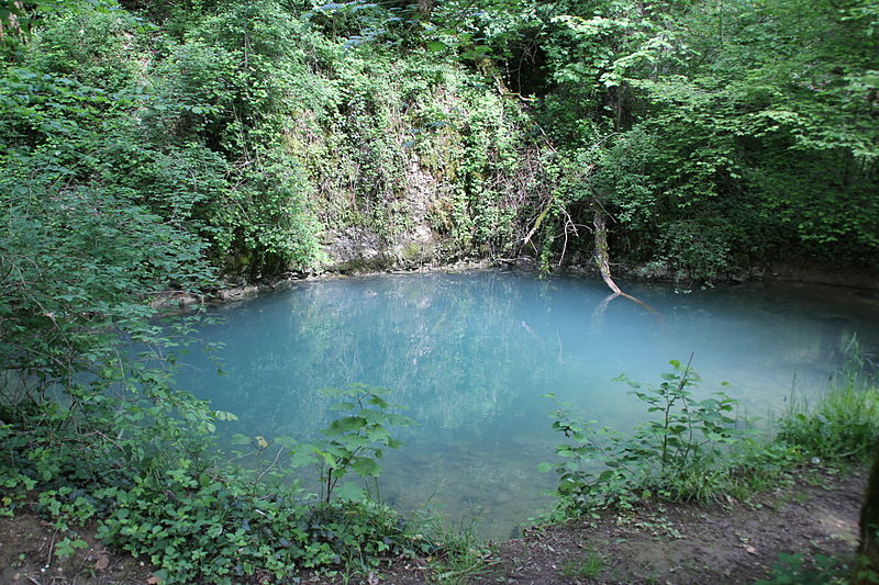 Source_Bleue_(Ougney-Douvot).jpg