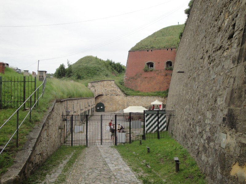 DSC02353.JPG