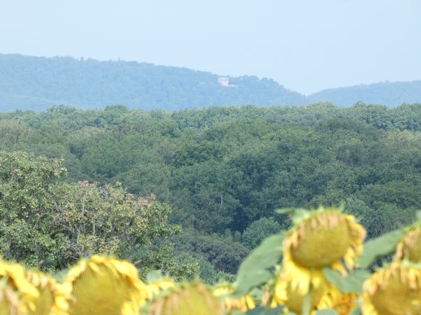 P1130425b.JPG