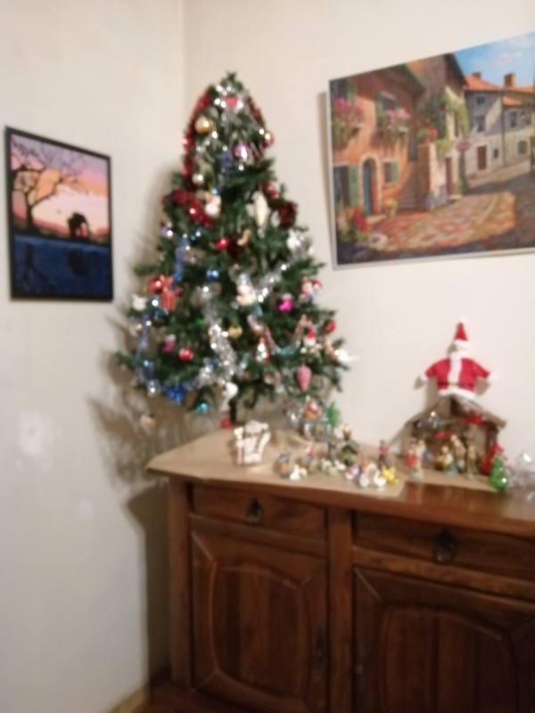 IMG_20221221_183157.jpg