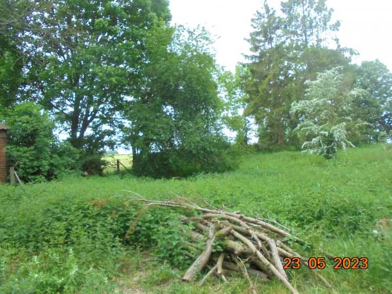 DSC01734.JPG