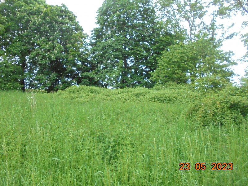 DSC01733.JPG