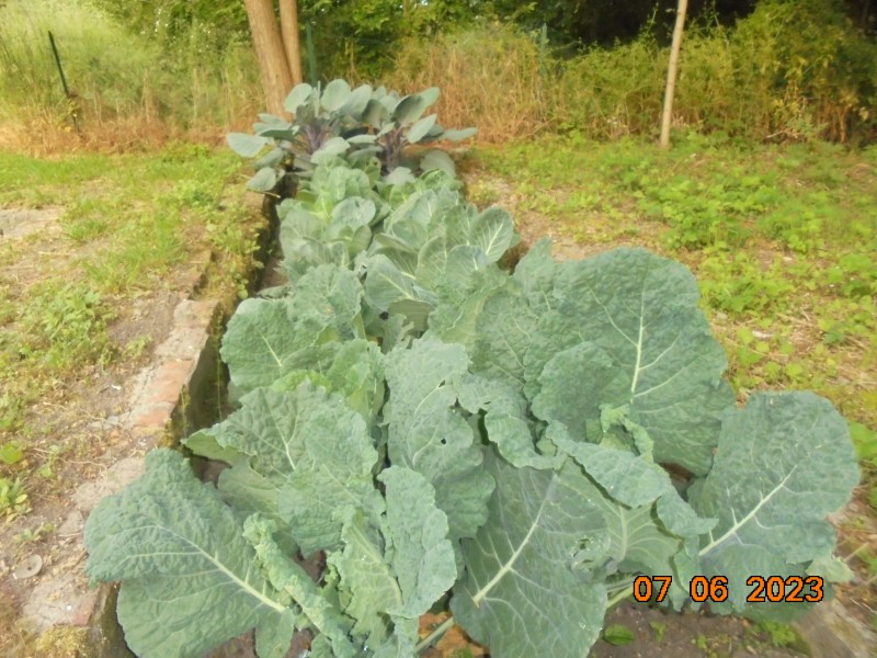 DSC01761.JPG