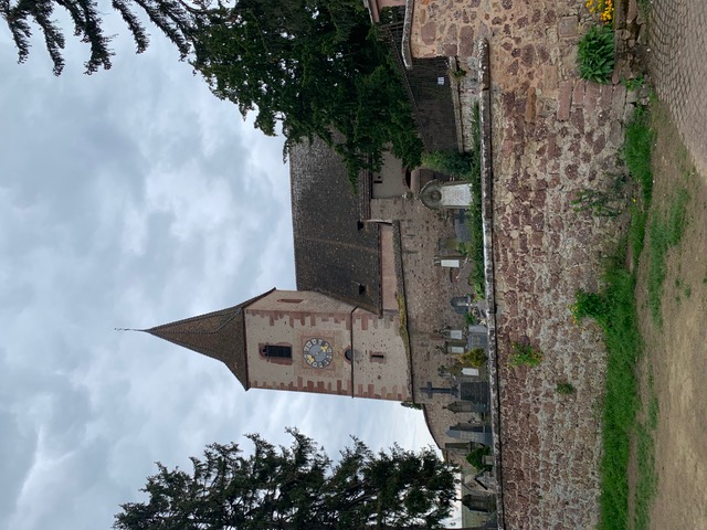 IMG_6722.jpeg