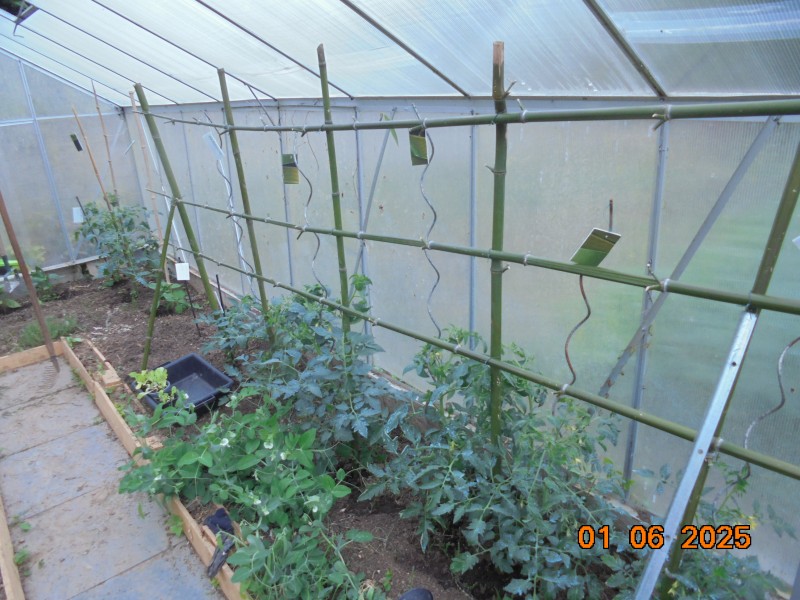 DSC01621.JPG