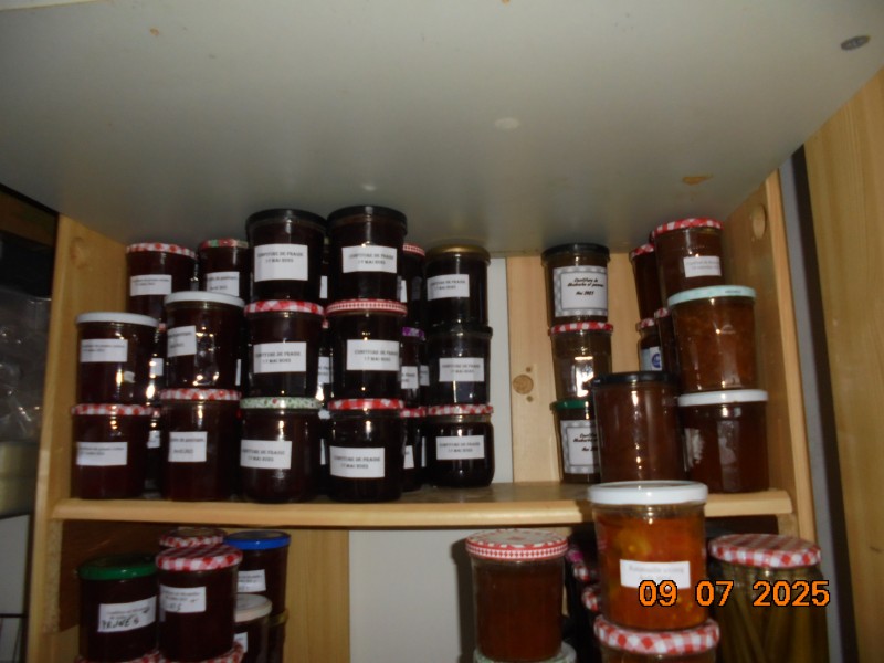 DSC01673.JPG