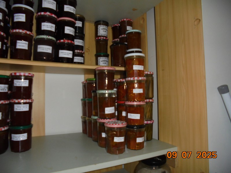 DSC01674.JPG