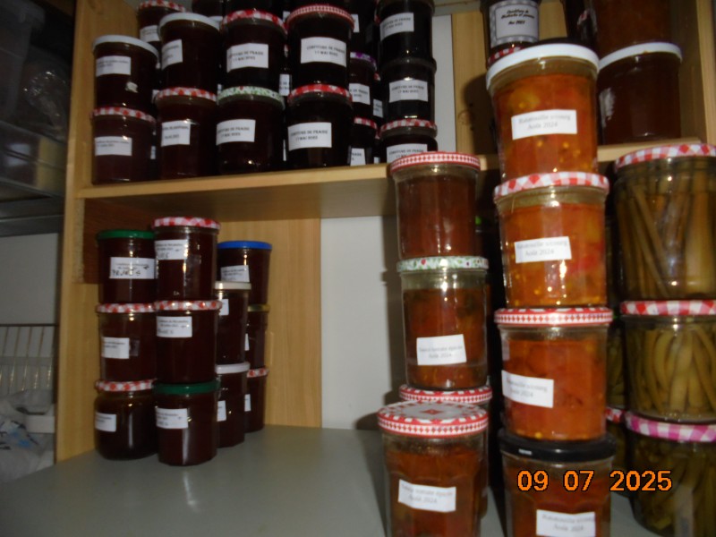 DSC01675.JPG
