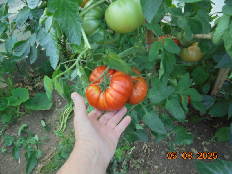DSC01700.JPG