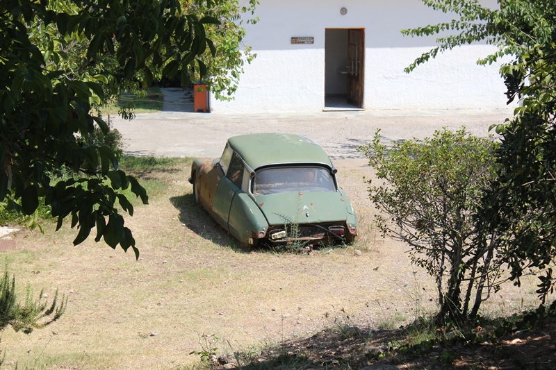 IMG_3499.JPG