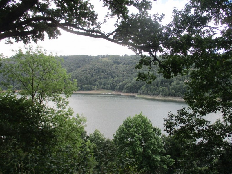 vue de mon emplacement ..JPG