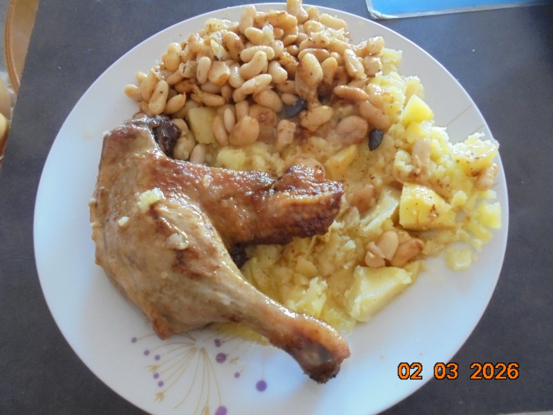 DSC01798 - Copie.JPG