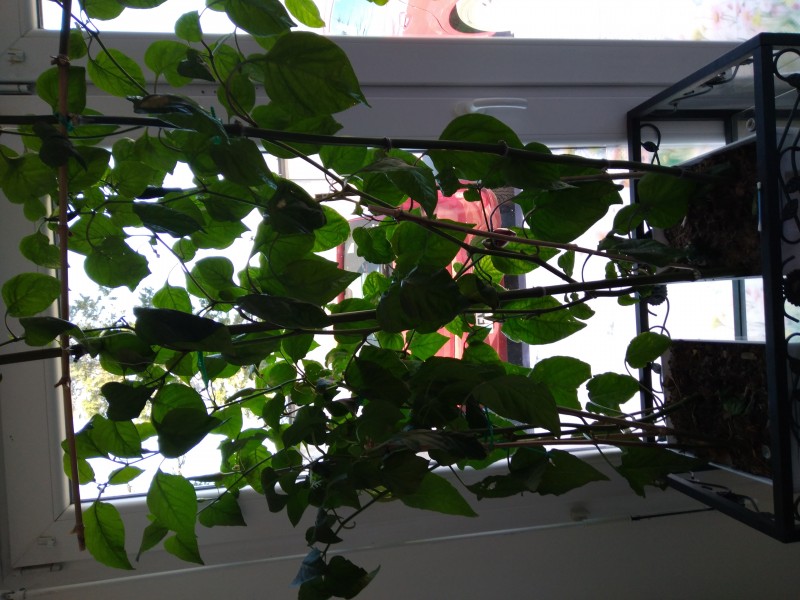 20260925_165908.jpg