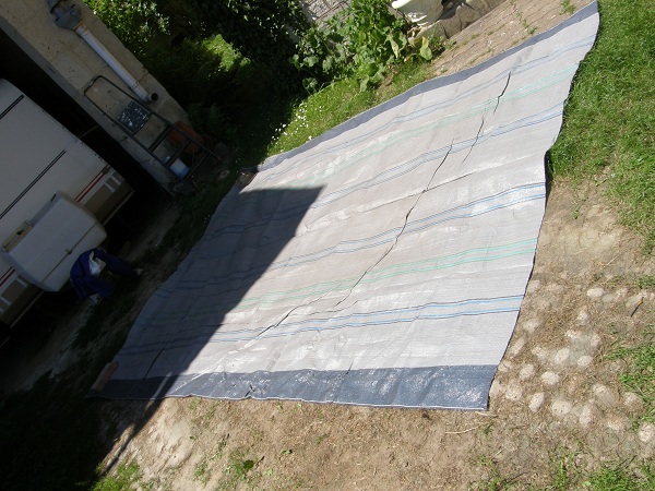 P5261460.jpg