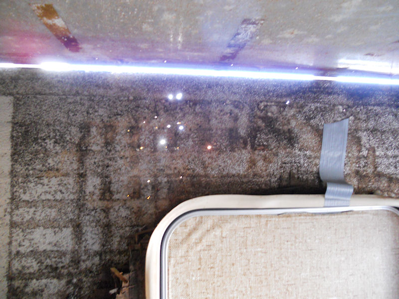 DSCN5139.jpg