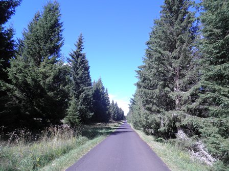 w19 route Cantal.jpg